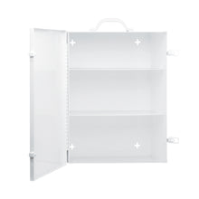 FEDERAL, WORKPLACE STANDARD, #6, METAL CABINET